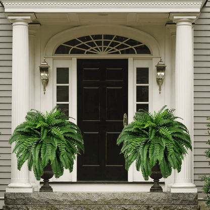 【Official USA Store】Last Day 80% OFF UV Resistant Lifelike Artificial Boston Fern