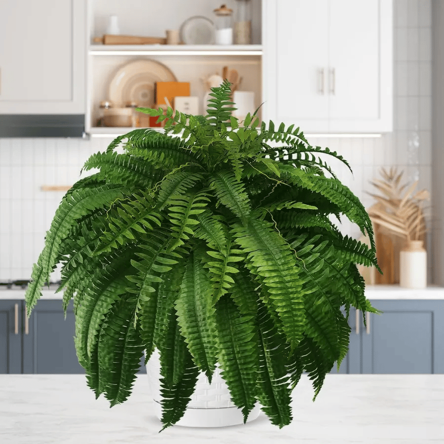 【Official USA Store】Last Day 80% OFF UV Resistant Lifelike Artificial Boston Fern