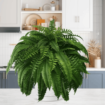 【Official USA Store】Last Day 80% OFF UV Resistant Lifelike Artificial Boston Fern