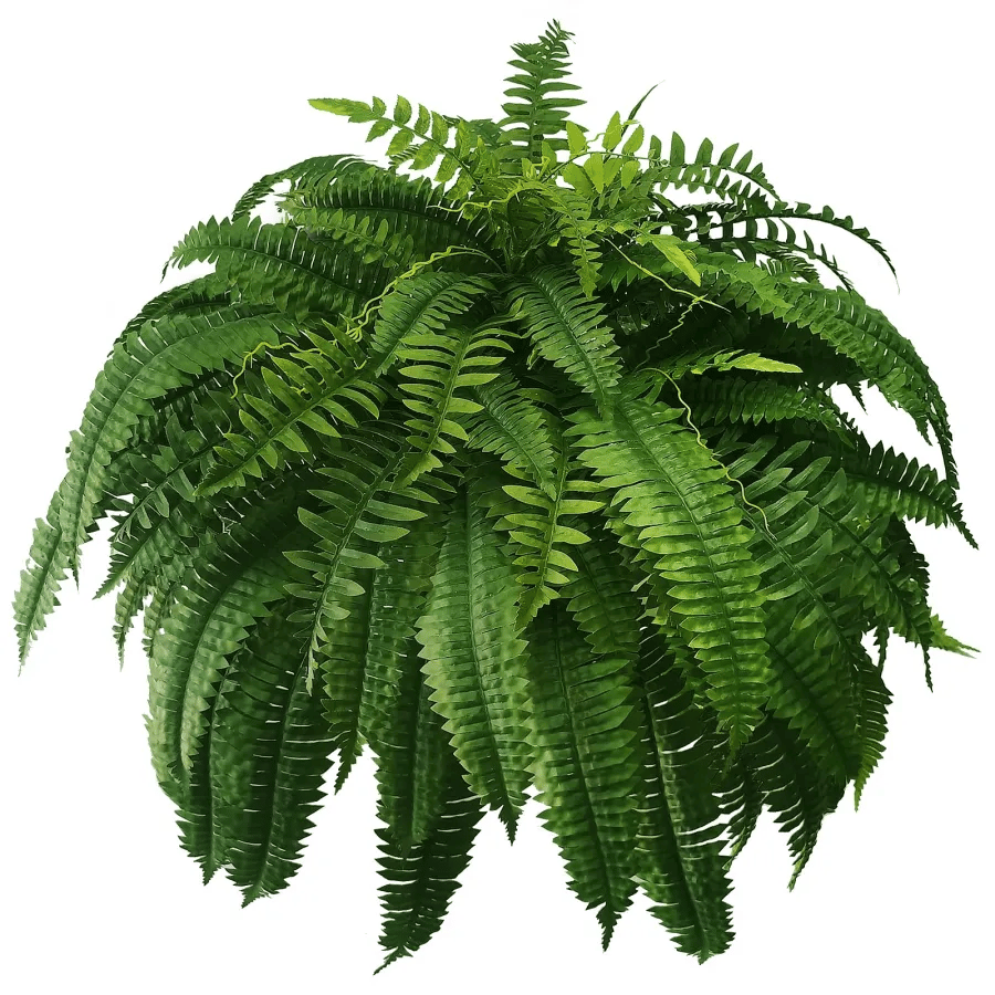 【Official USA Store】Last Day 80% OFF UV Resistant Lifelike Artificial Boston Fern