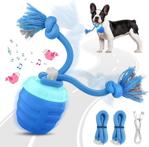 🎁🐶Smart pet rolling ball,Automatic dog walking toys,Interactive dog toys🐾Perfect for when you're bored or training, plays music, USB rechargeable.