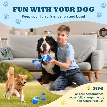 🎁🐶Smart pet rolling ball,Automatic dog walking toys,Interactive dog toys🐾Perfect for when you're bored or training, plays music, USB rechargeable.