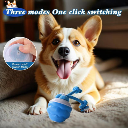 🎁🐶Smart pet rolling ball,Automatic dog walking toys,Interactive dog toys🐾Perfect for when you're bored or training, plays music, USB rechargeable.