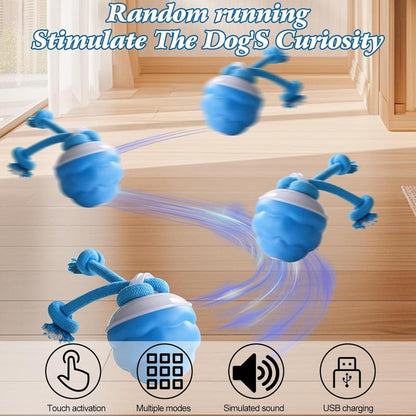 🎁🐶Smart pet rolling ball,Automatic dog walking toys,Interactive dog toys🐾Perfect for when you're bored or training, plays music, USB rechargeable.